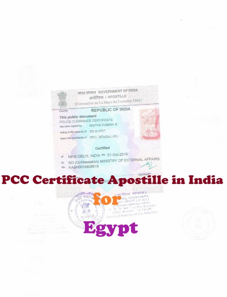 PCC Certificate Apostille for Egypt in India