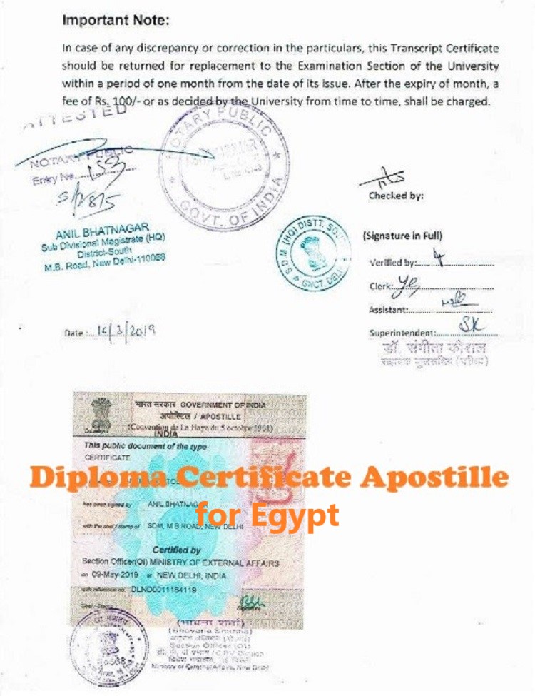 Diploma Certificate Apostille for Egypt India